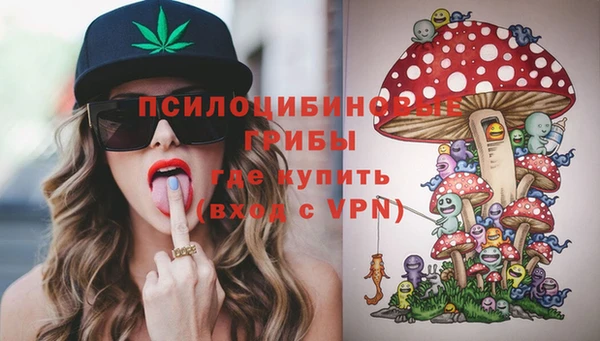 a pvp Ладушкин