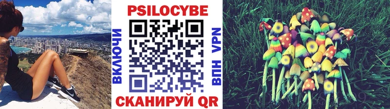 Галлюциногенные грибы Magic Shrooms  Купить где  Солнечногорск 